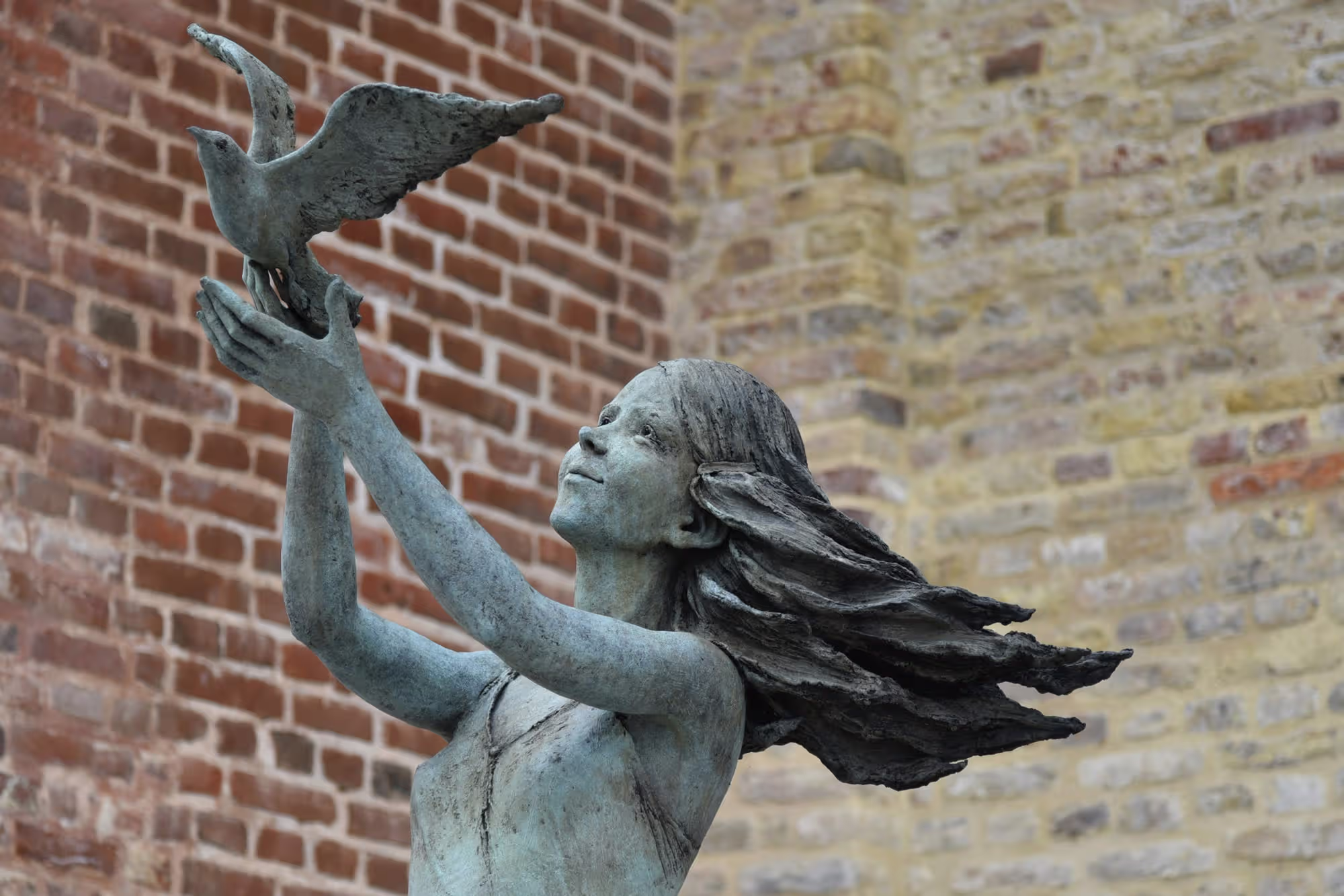 A woman setting a bird free