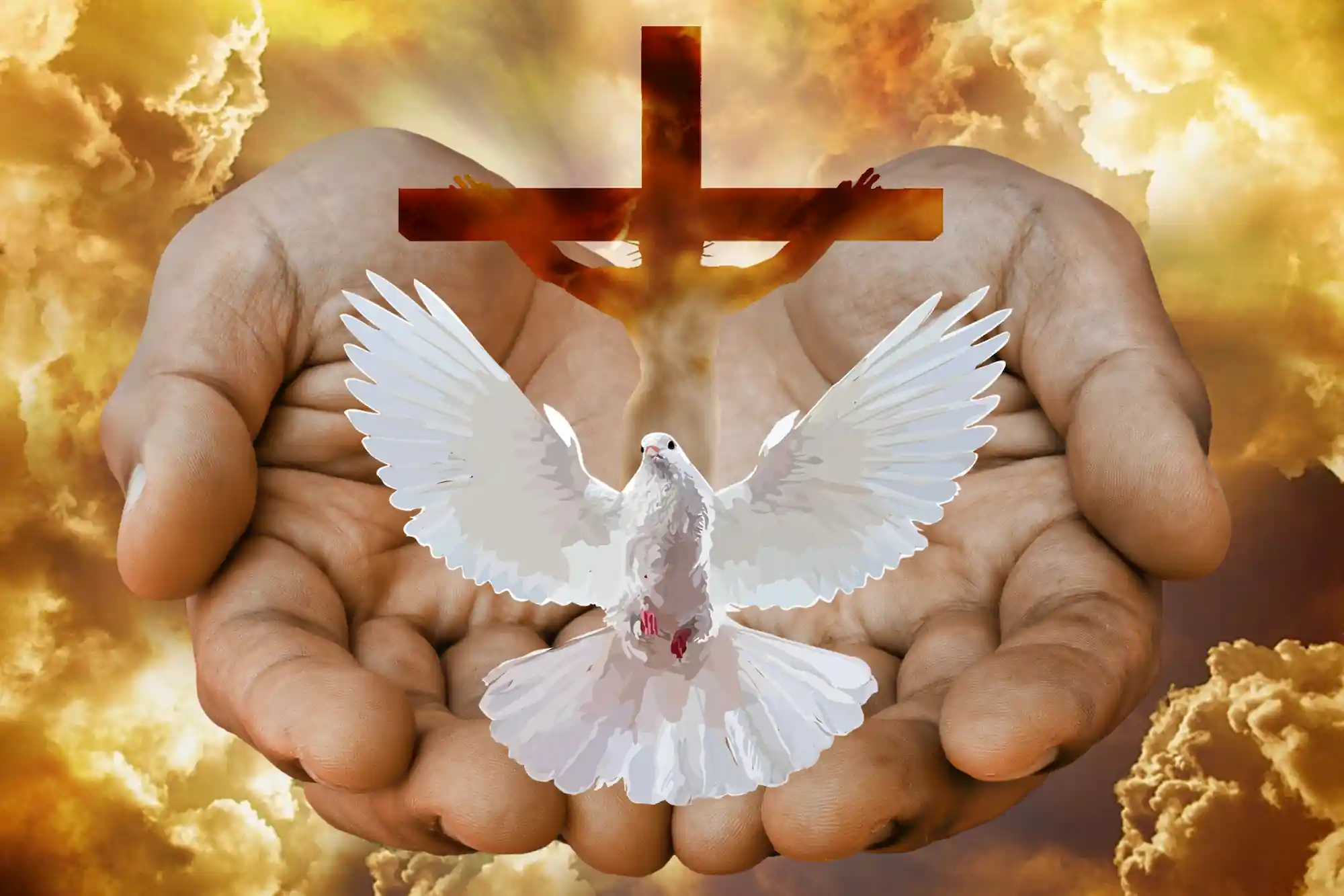 Hands holding a dove and a cross